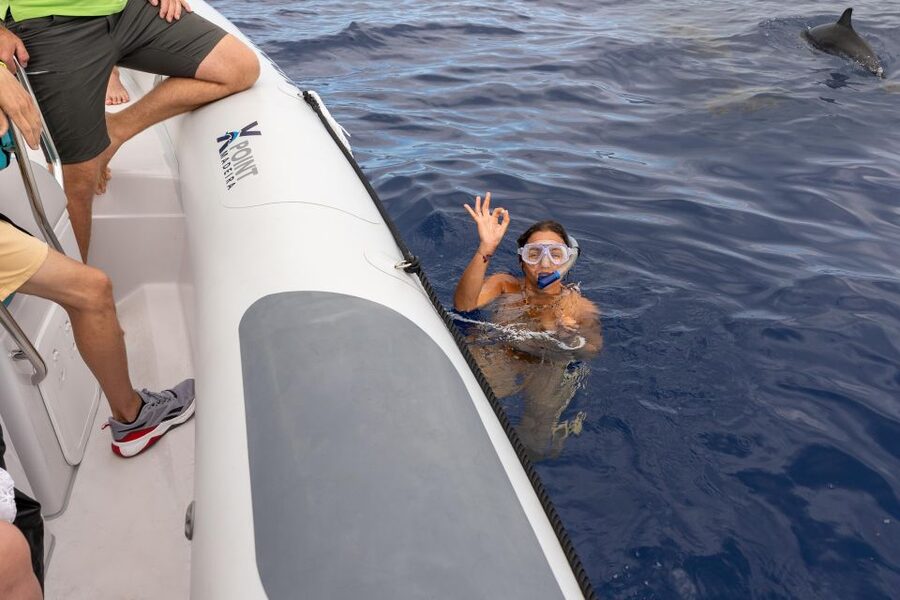 Funchal: RIB Whale Watching Cruise and Optional Dolphin Swim - Boarding in Funchal and the short safety briefing