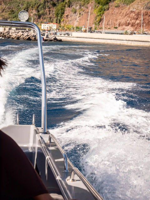 Funchal: Speedboat SEE THE ISLAND AND LIFE AT SEA - Seating, safety, and comfort on a small boat