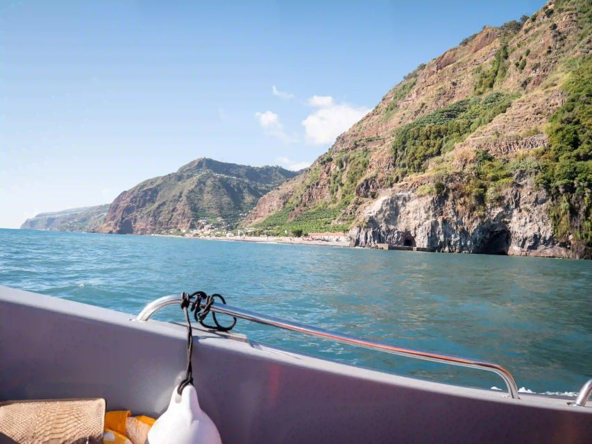 Funchal: Speedboat SEE THE ISLAND AND LIFE AT SEA - Is $41 a good value for 2.5 hours?
