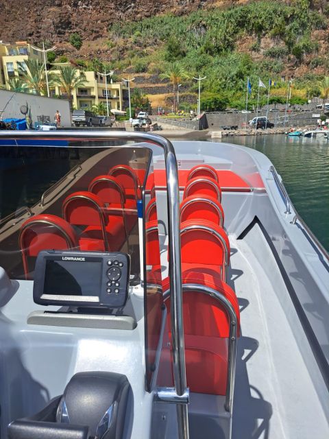 Funchal: Speedboat SEE THE ISLAND AND LIFE AT SEA - Who will enjoy this Funchal speedboat tour?