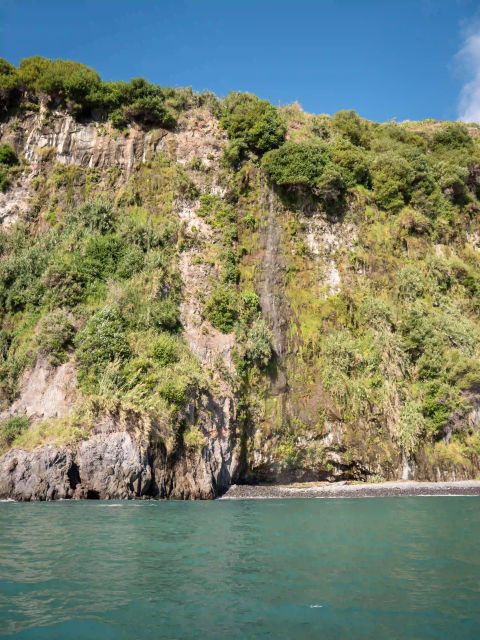 Funchal: Speedboat SEE THE ISLAND AND LIFE AT SEA - Should you book this Madeira sea trip?