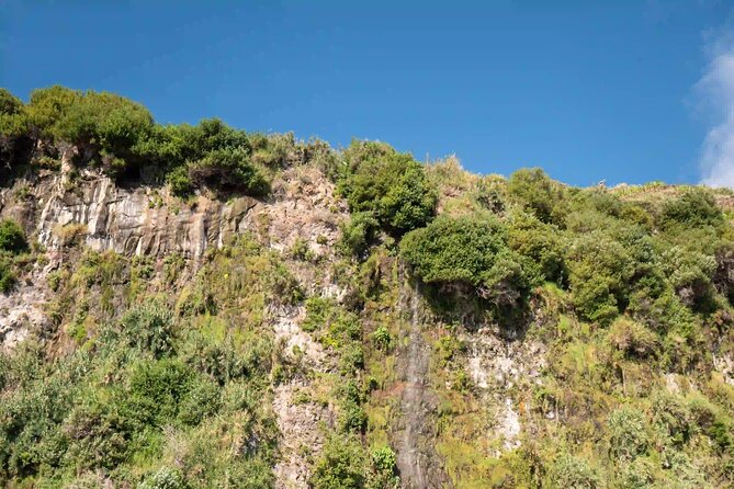 Funchal: Speedboat tour- SEE THE ISLAND AND LIFE AT SEA - What the small boat changes