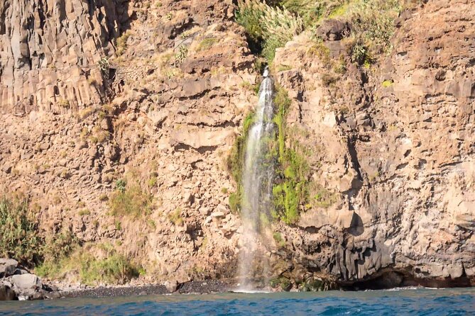 Funchal: Speedboat tour- SEE THE ISLAND AND LIFE AT SEA - What is included for $46.26