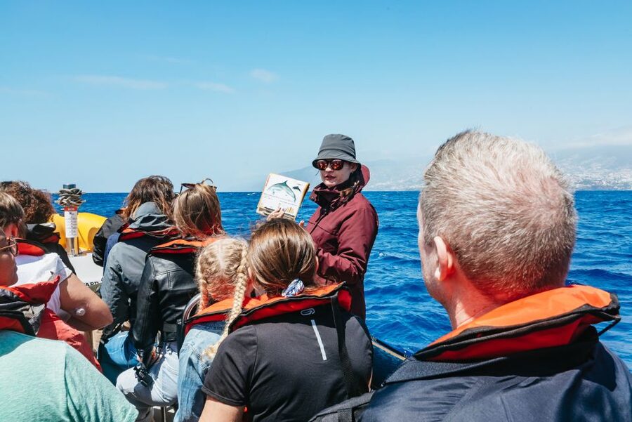 Funchal: Whale and Dolphin Watching Speed Boat Tour - Leaving Funchal Marina on a small speed boat