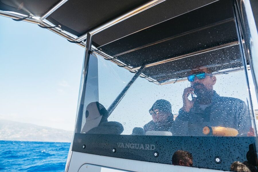 Funchal: Whale and Dolphin Watching Speed Boat Tour - What the speed boat ride feels like