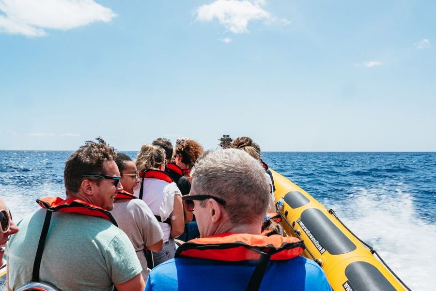 Funchal: Whale and Dolphin Watching Speed Boat Tour - The coastline is part of the reward