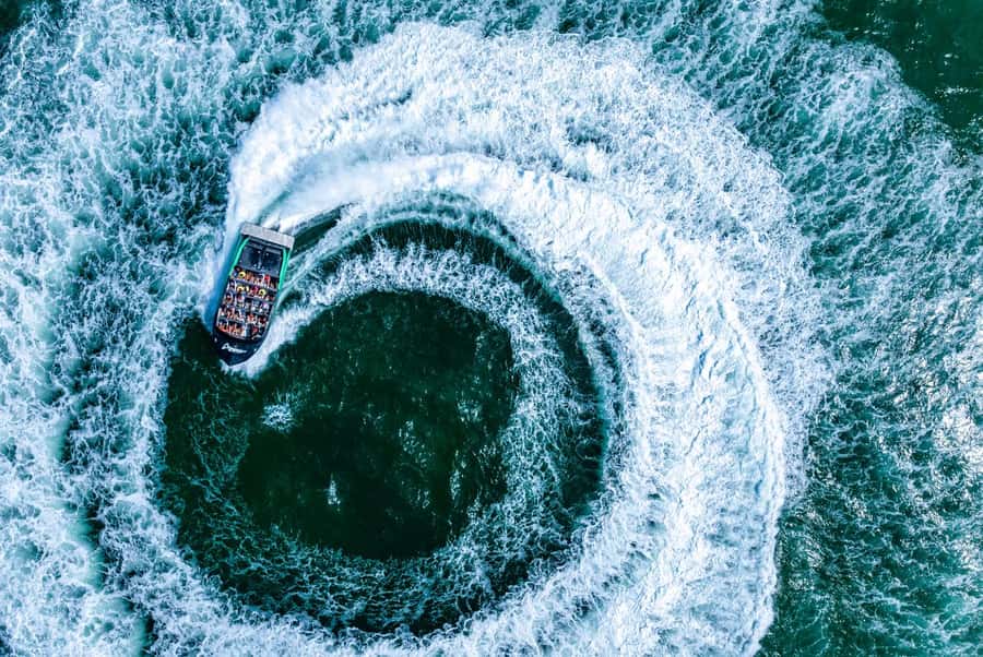 Gold Coast: Jet Boat Ride & Sea World Entry Ticket - Why this Gold Coast combination works