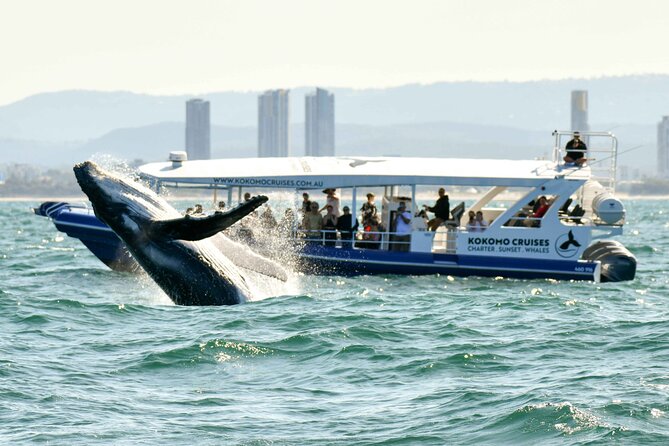 Gold Coast V8 Jet Boat Rapid Ride - Marina Mirage is the practical starting point