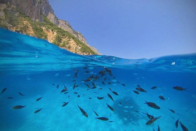 Gulf of Orosei Speedboat Trip with Aperitif from Cala Gonone - Cala Luna gives you the right start
