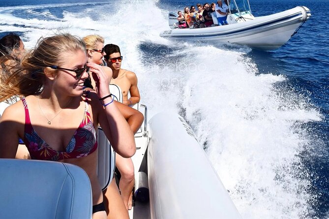 Half Day Private Speedboat Dolphin House & Giftun Island_Hurghada - Dolphin watching is exciting but never certain