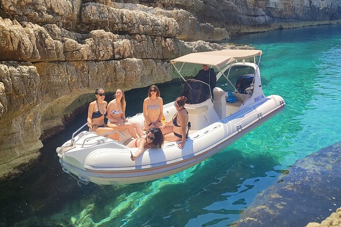 Half-Day Private Speedboat Excursion to Sazan Island & Karaburun - Key points at a glance