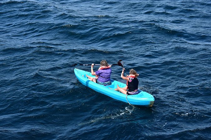 Half-Day Tour to Marietas Islands, Playa Nopalera by Speedboat - Playa Nopalera: a rocky stop with a clear purpose
