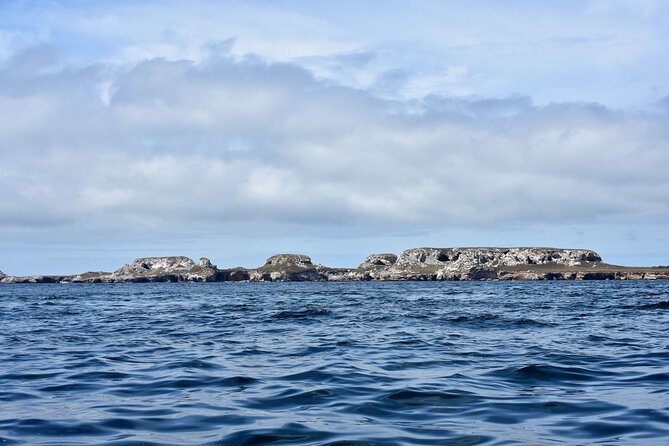 Half-Day Tour to Marietas Islands, Playa Nopalera by Speedboat - The return ride and onboard mood