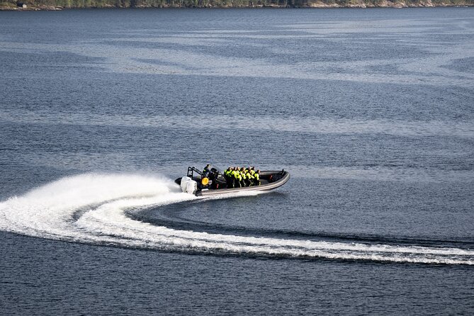Hardangerfjord Ultimate RIB adventure from Ulvik - Hardanger Bridge: the first major sight