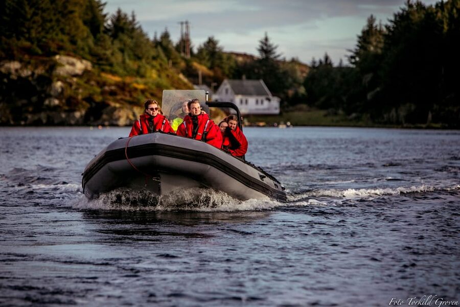Haugesund: RIB Safari to the island communities - Should you book the Haugesund RIB safari?