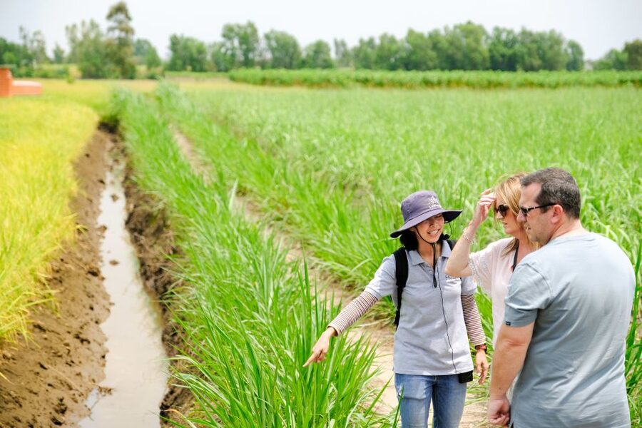 Ho Chi Minh City: Mekong Delta Full-Day Speedboat Tour - Thu Thua Market and the Cao Dai temple
