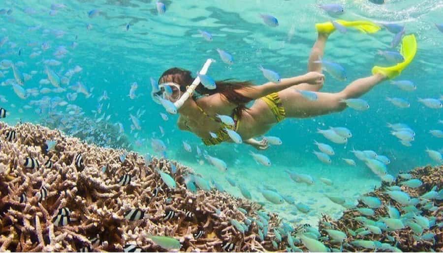 Hoi An: Cham Islands Snorkeling Trip by Speedboat with Lunch - Why Cham Island Works as a Day Trip from Hoi An