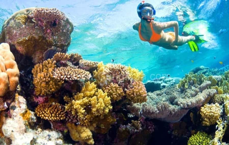 Hoi An: Cham Islands Snorkeling Trip by Speedboat with Lunch - Reaching Cua Dai Pier and Boarding the Speedboat