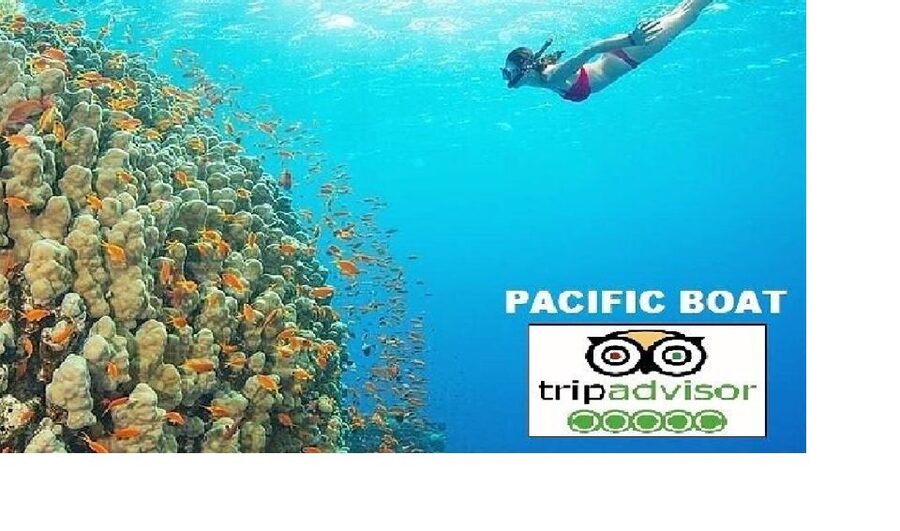 Hoi An/Da Nang: Snorkelling & Island-Hopping Speedboat Tour - Key points at a glance