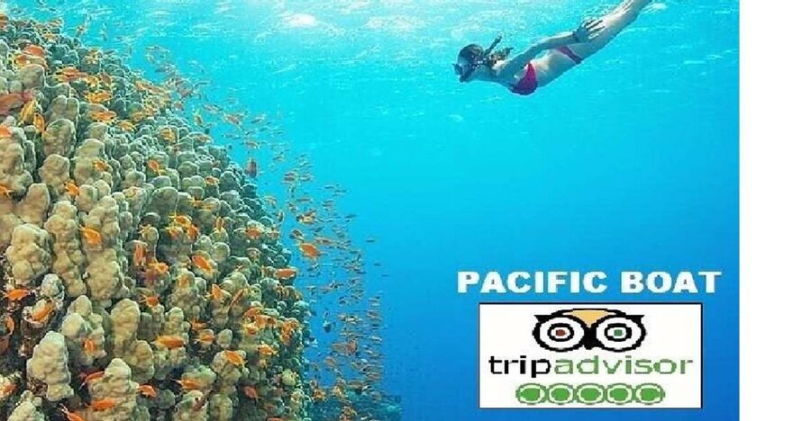 Hoi An/Da Nang: Snorkelling & Island-Hopping Speedboat Tour - Why this Cham Island trip is different