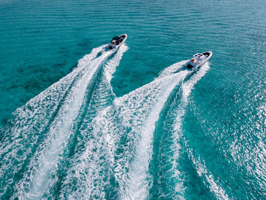 Hurghada: Hula Hula Speedboat w/ Optional Snorkeling & Lunch - Who Will Enjoy Hula Hula Most