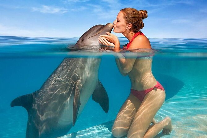 Hurghada: Private 4 Hours Speedboat Dolphin House Snorkling Tour - What the snorkeling portion is likely to feel like
