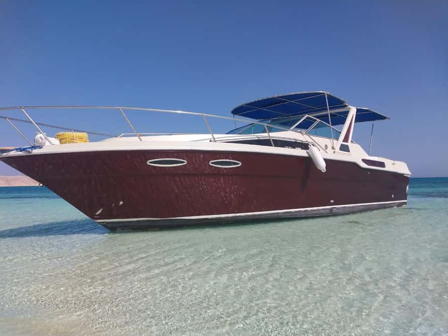 Hurghada: Private Luxury Speedboat W Snorkelling & Fruits - Giftun Island: the main two-hour water stop