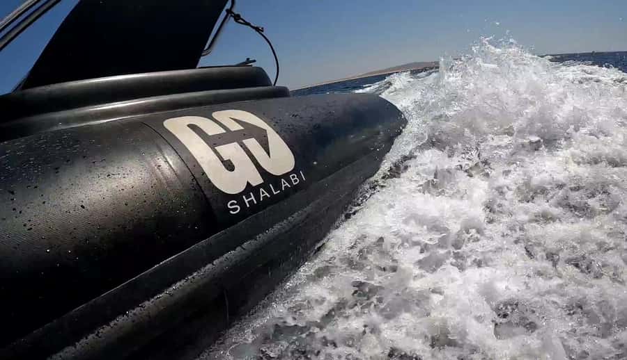 Hurghada: Private Speedboat to Dolphin House with Pickup - Who gets the best value from this outing