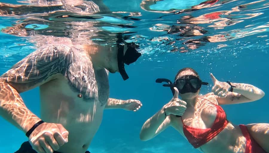 Hurghada: Private Speedboat to Dolphin House with Pickup - Coral reefs, fish, and changing sea conditions