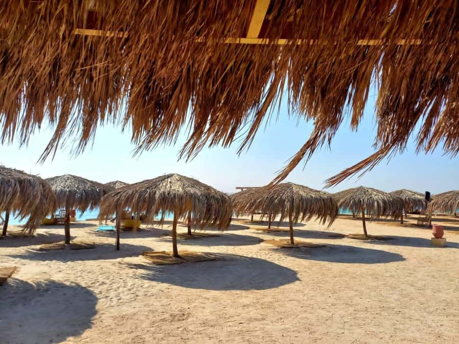Hurghada: Private Speedboat to Magawish Island - The snorkeling stop and what the water is like