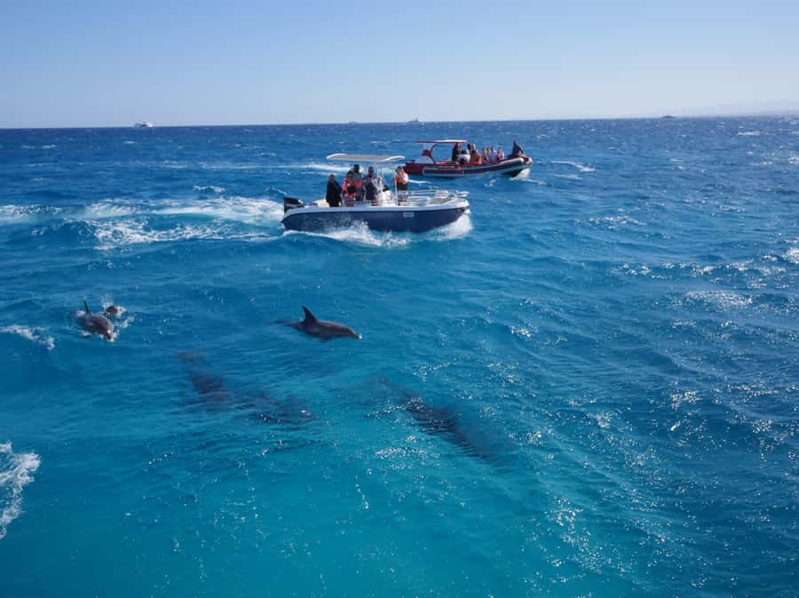 Hurghada: Private Speedboat to Orange Bay and White Island - Who Will Enjoy This Trip Most?