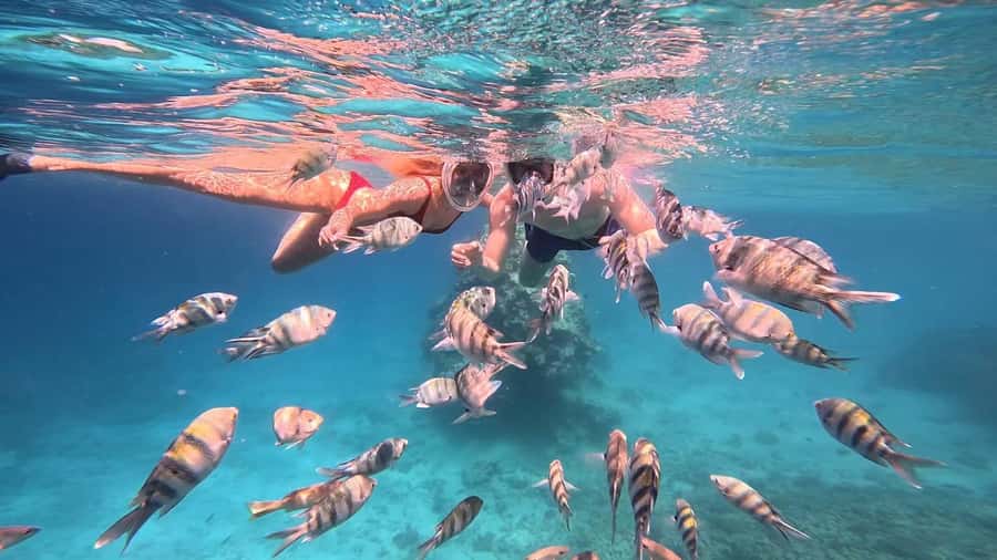 Hurghada: Snorkelling Trip by Speedboat with Hotel Pickup - Morning or sunset: choose by your schedule