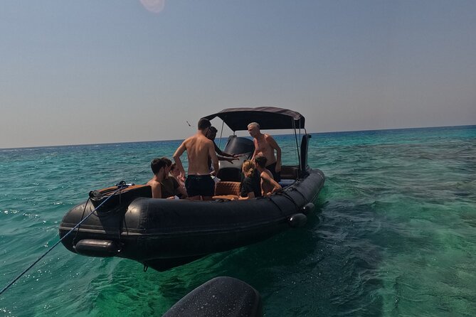 Hurghada Speedboat Dolphin Watching and Snorkeling - Who will enjoy this trip most?