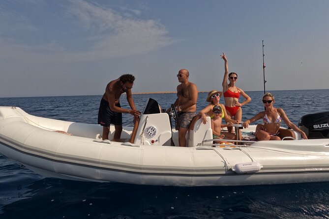 Hurghada Speedboat Dolphin Watching and Snorkeling - Searching for dolphins at Dolphin House
