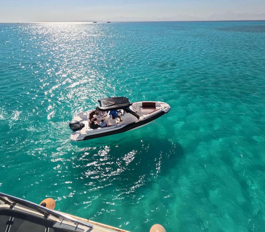 Hurghada: Speedboat Dolphin Watching & Snorkeling with Lunch - Key points at a glance