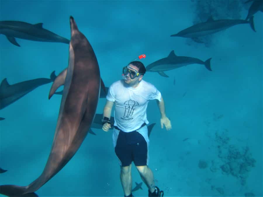 Hurghada: Speedboat Dolphin Watching & Snorkeling with Lunch - Why the speedboat changes the day