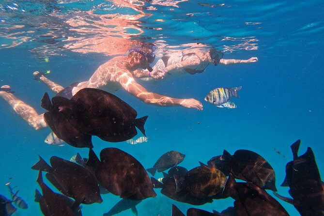Hurghada Speedboat Trip to Orange Bay and Magawish Islands - What the $58.73 price really covers