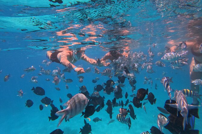 Hurghada Speedboat Trip to Orange Bay and Magawish Islands - Orange Bay: one hour on white sand
