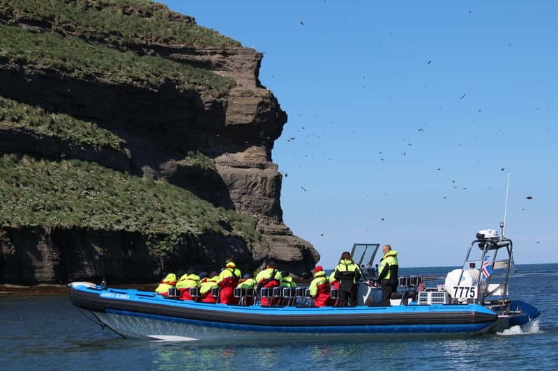 Húsavík: Original Big Whale Safari & Puffins by Speedboat - Guides, captains, and the quality of the commentary