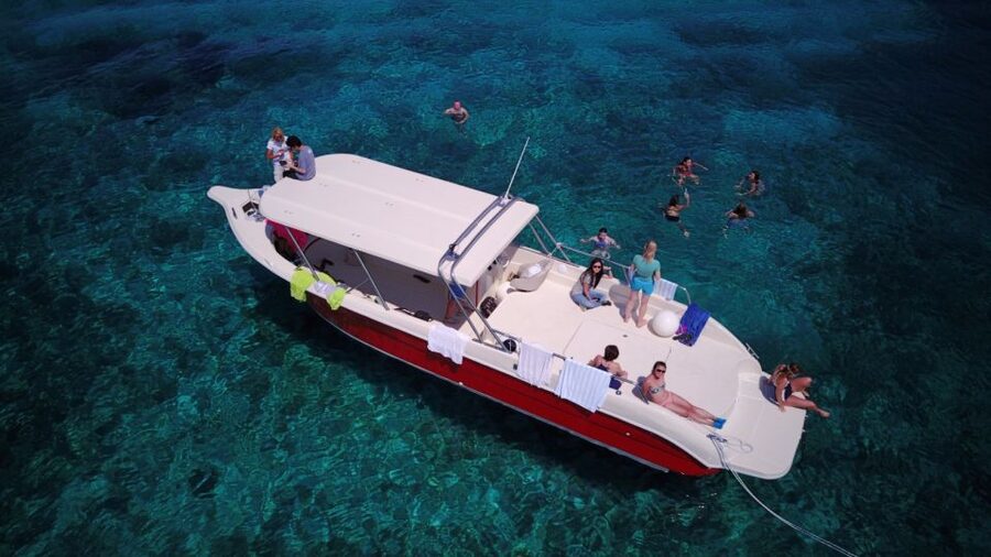 Hvar: Private Blue Cave and Vis Speedboat Tour - Budikovac Blue Lagoon and clear water