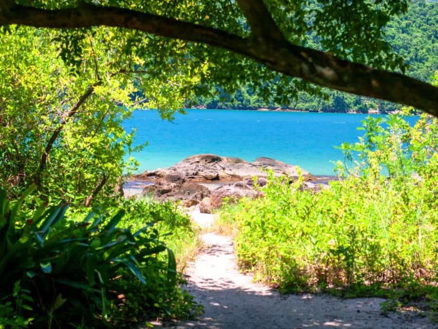 Idyllic Islands Private Speedboat Tour in Paraty - Swimming and snorkeling without extra gear charges