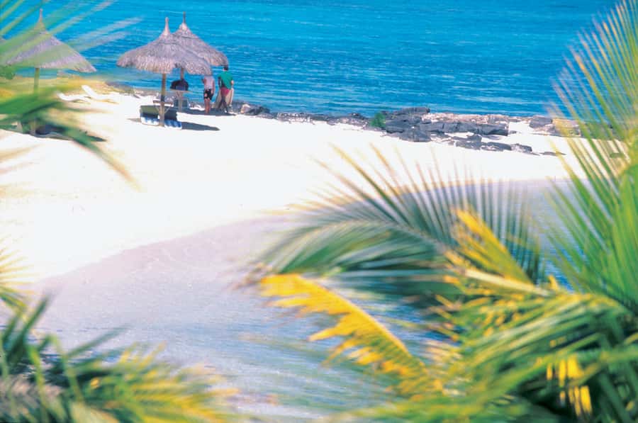 Ile aux Cerfs: Island & Waterfall Speedboat Tour with Lunch - Why this Mauritius boat trip works