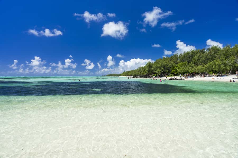 Ile aux Cerfs Speedboat Trip & Transport: Private or Shared - Key points to know before booking