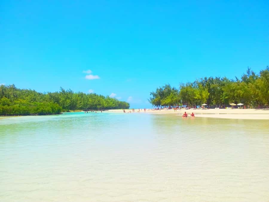 Ile aux Cerfs Speedboat Trip & Transport: Private or Shared - Practical tips for a smoother day