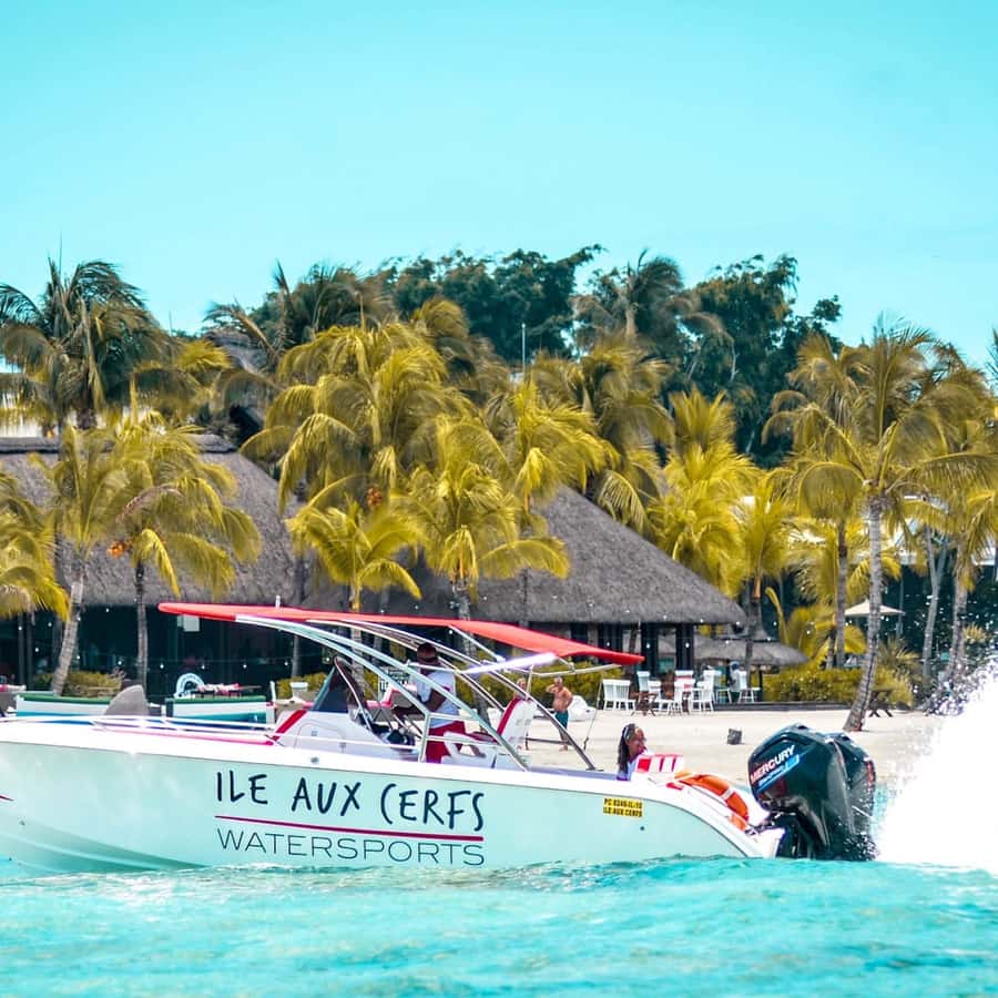 Ile aux Cerfs Speedboat Trip & Transport: Private or Shared - Should you book the Ile aux Cerfs speedboat trip?