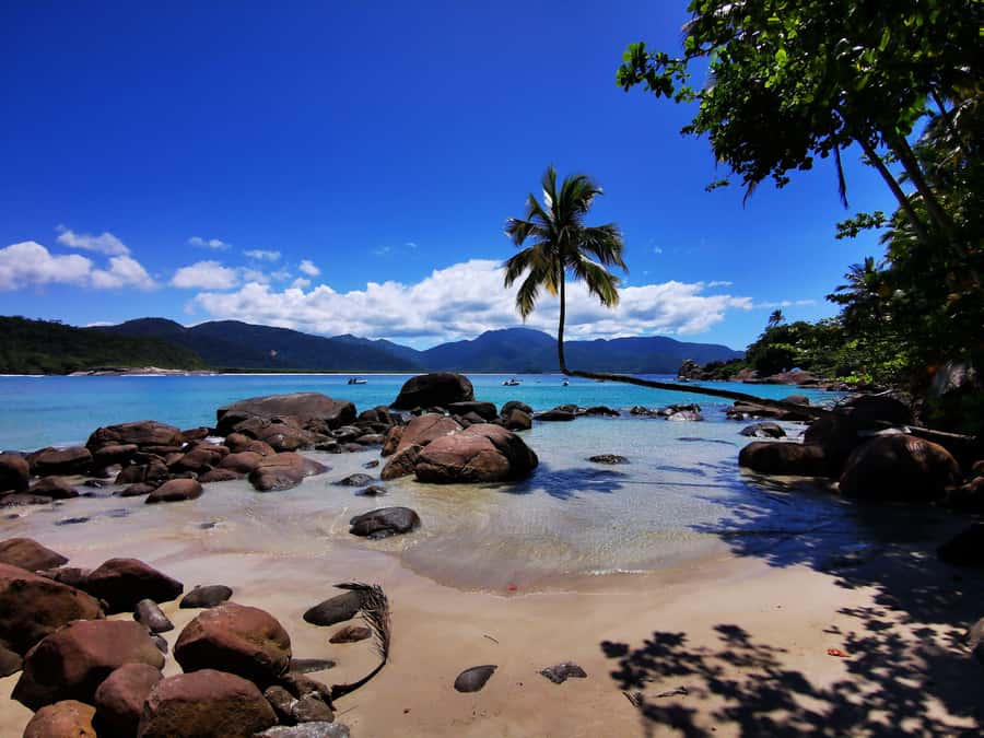 Ilha Grande: 360° Circumnavigation Speed Boat Tour - 8h - Why this boat trip reaches Ilha Grande’s wilder side