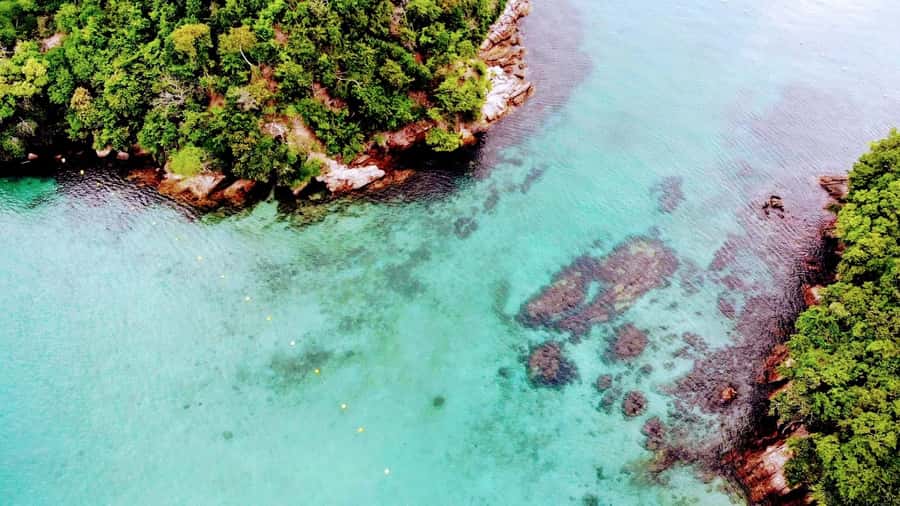 Ilha Grande: 6-Hour Speedboat Tour to Blue and Green Lagoons - How much value do you get for $62?