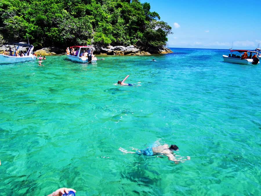 Ilha Grande: 6-Hour Speedboat Tour to Blue and Green Lagoons - Blue Lagoon and the search for fish