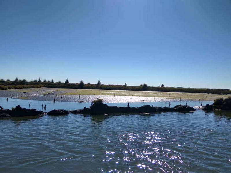 Industry or Nature Boat Tour | Speedboat - Key points to know before you go