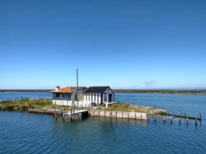 Industry or Nature Boat Tour | Speedboat - Starting at Praias da Ria